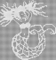 crochet012002.gif